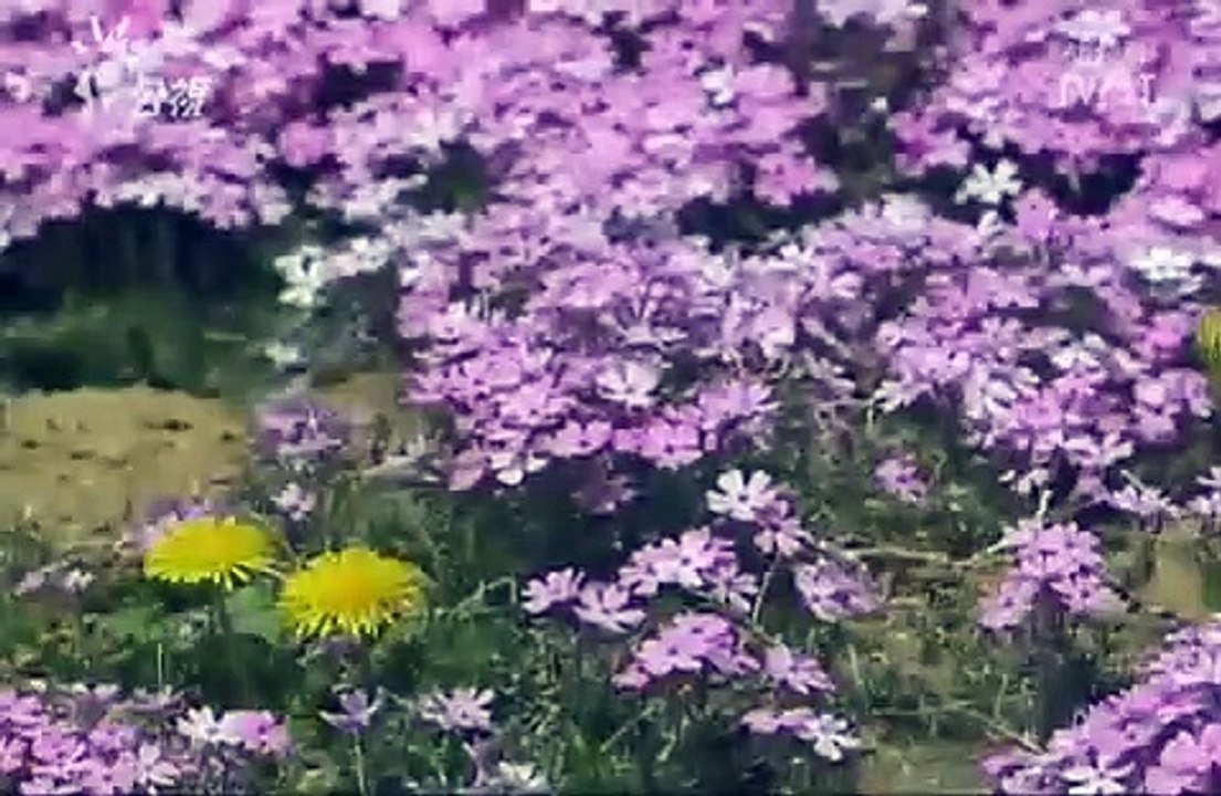 直到生命的電池耗盡09