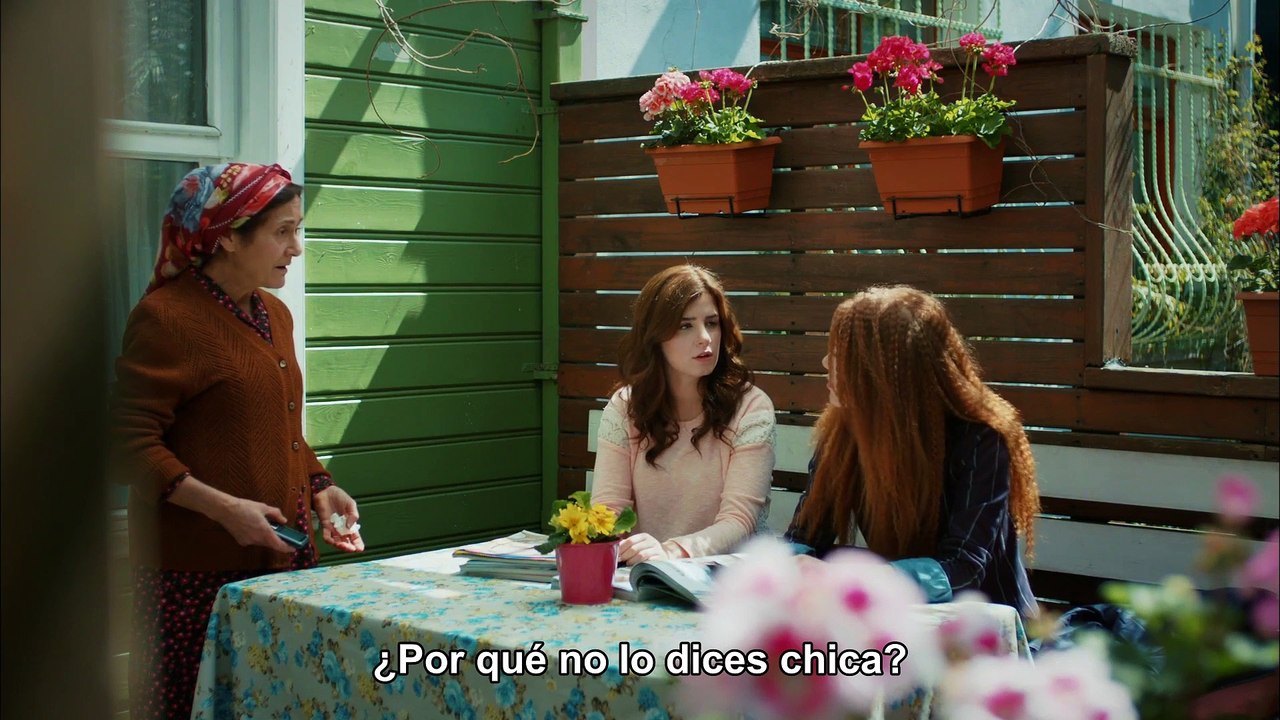 Amor en Alquiler – Kiralık Aşk Capitulo 41 (Subtitulada)