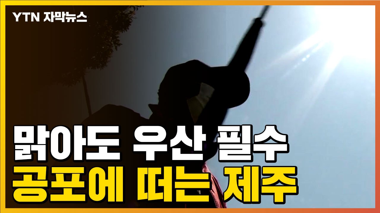 [자막뉴스] "비가 오지 않아도 우산 들고 다녀"...공포에 떠는 제주 주민들 / YTN