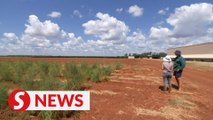 Farmers in Australia seek solutions to worker shortage and rising costs