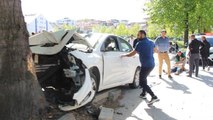 Yalova’da kontrolden çıkan otomobil ağaca çarptı: 3 yaralı
