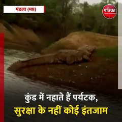 मंडला : पानी के बाहर धूप लेता नजर आया मगरमच्छ