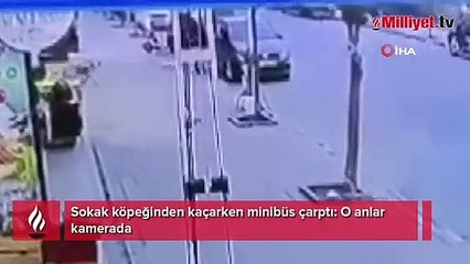 Ölümden döndü! Sokak köpeğinden kaçarken minibüs çarptı