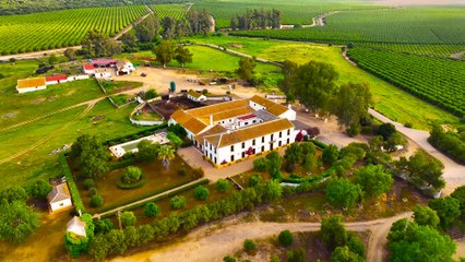 LA QUINTA FINAL PANTALLAS