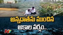 Heavy Rains Cause Extensive Damage to Telugu States Farmers | Ntv