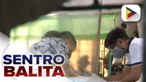 Pres'l candidate Bongbong Marcos at kanyang pamilya, maagang bumoto sa Ilocos Norte