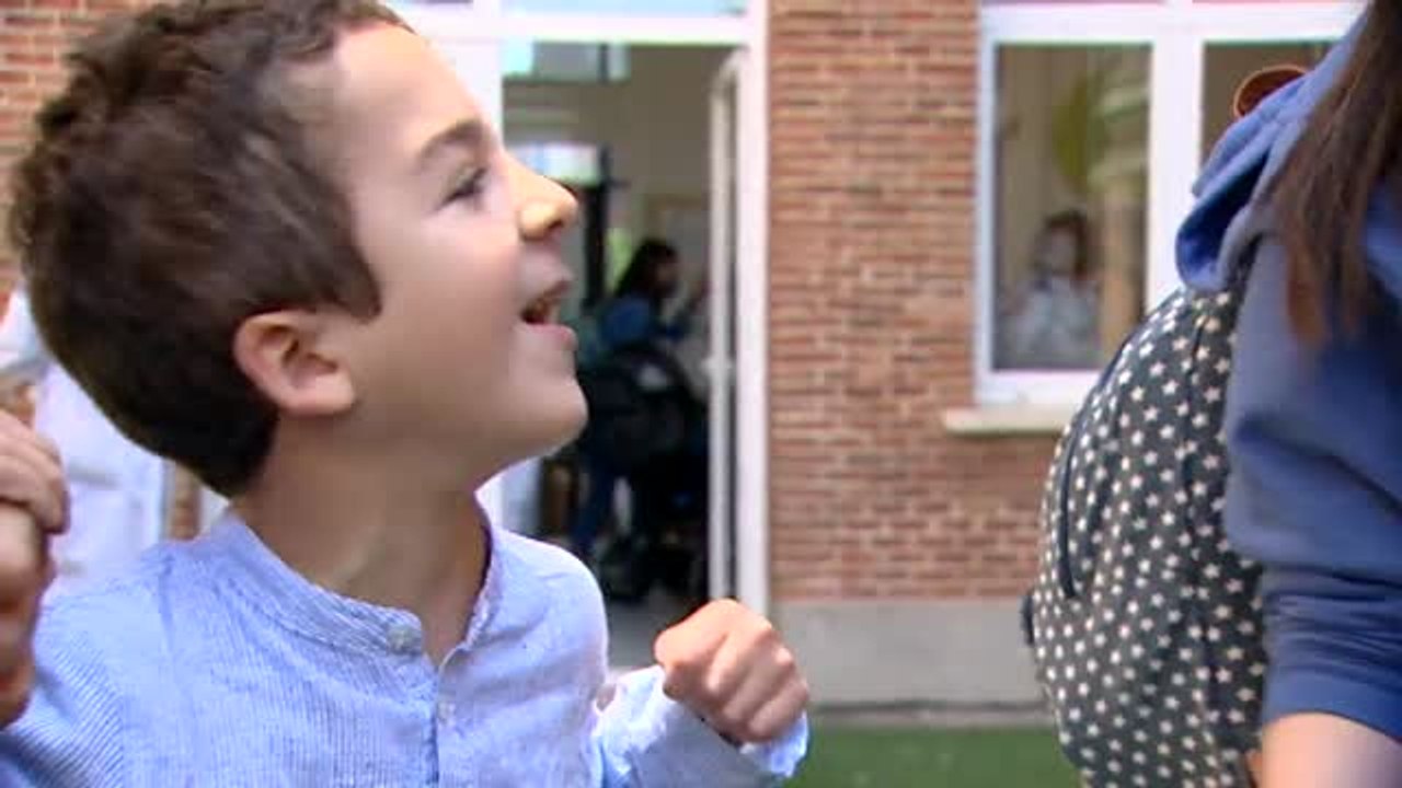 Terapias con perros para ayudar a los niños con daños cerebrales