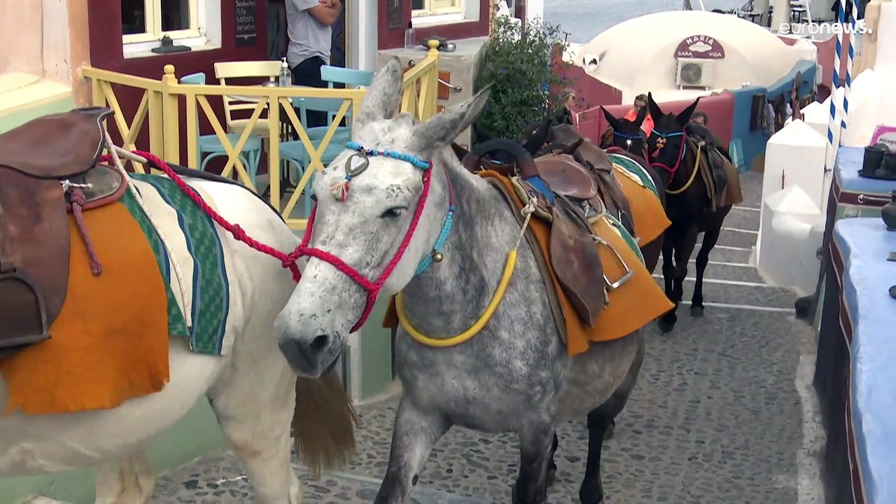 Trotz Krieg und Inflation - Griechenland erwartet eine gute Sommersaison