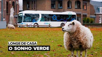 Tornando realidade o sonho verde do transporte puramente elétrico