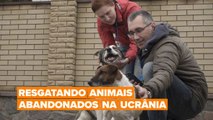 A equipe de resgate de animais abandonados na Ucrânia.