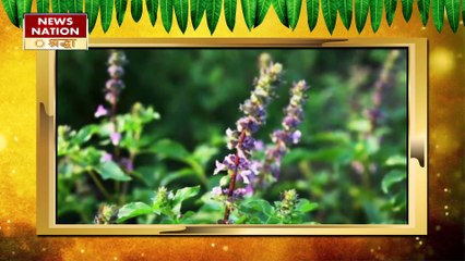 सोने से पहले तकिए के नीचे रखेंगे ये चीजें, चमक जाएंगे आपकी किस्मत के सितारे