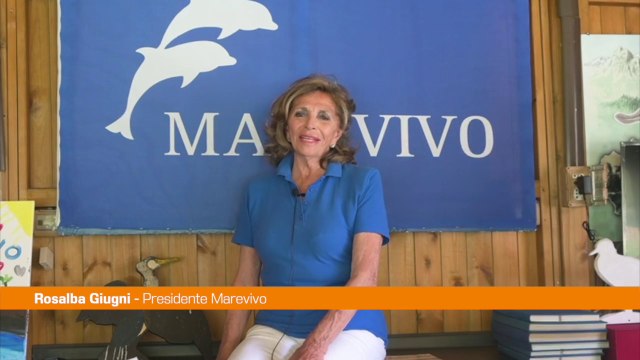 Via libera definitivo alla legge Salva Mare, Giugni Giornata storica