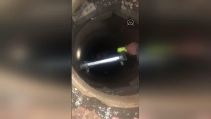 Kanalizasyon kuyusuna düşen kedi yavrusu kurtarıldı