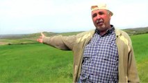 Turgutlu Biyogaz, Manisa'nın bereketli tarım topraklarına değer katıyor