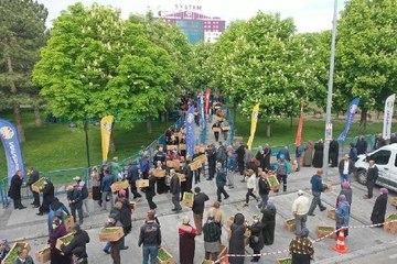KAYSERİ'DE DOMATES FİDESİ KUYRUĞU