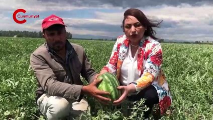 Karpuzun kilosu böyle giderse 20 lirayı geçer