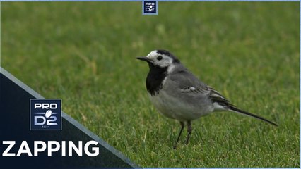 PRO D2 – Le Zapping de la J29 – Saison 2021-2022