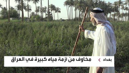 لماذا يخفض مزارعو العراق موسم الزراعة إلى النصف؟