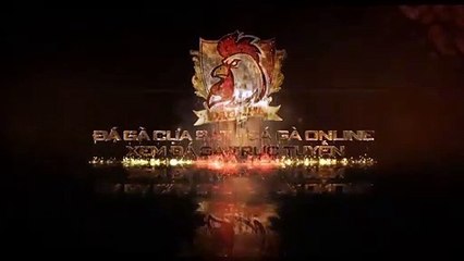 Trực Tiếp Đá Gà Bình Luận Viên | Game Đá Gà