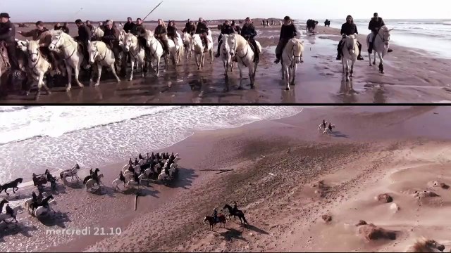 Faut pas rêver - 11 mai