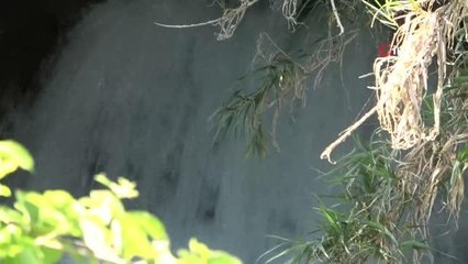 Yağışlar akarsuların su seviyesini yükseltti