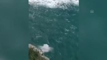 Kayalıklardan denize atlayan genç boğulma tehlikesi geçirdi