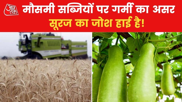 Summer Heat ruins the crops and green vegetables in India