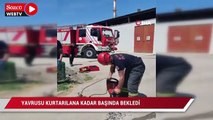 Yavrusu kurtarılana kadar başında bekledi