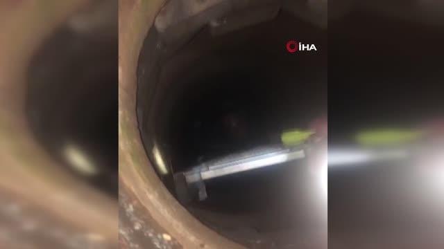 İtfaiye ekipleri kanalizasyon kuyusuna düşen yavru kediyi kurtardı