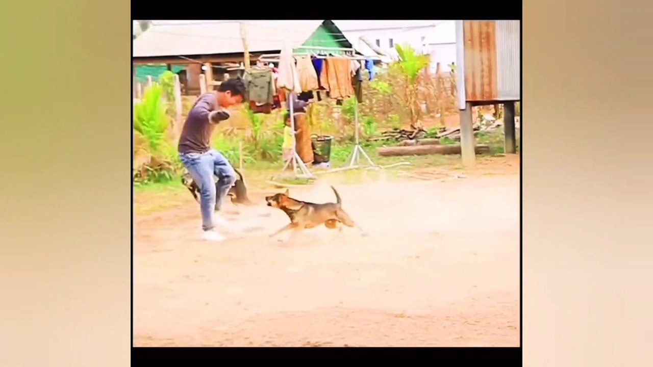 SCARE CAM Priceless Reactions#83 Impossible Not To Laugh__TikTok Honors_