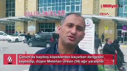 Köpekten kaçmaya çalışan çocuğun dalağı parçalandı