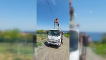 Tekirdağ'da elektrik direğinde mahsur kalan kedi yavrusu kurtarıldı