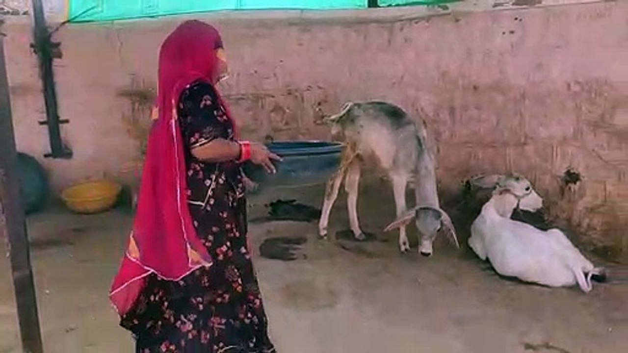 ये जो  गोबर लीपती और खेत जाती है..इनके बेटे कलक्टर है