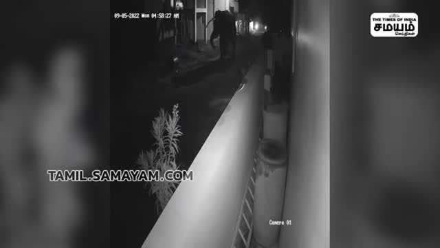 கிராமத்திற்குள் புகுந்து பாகுபலி அட்டகாசம்; சிசிடிவி காட்சிகள்!