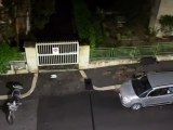 Cinghiali a Roma, allarme aggressioni