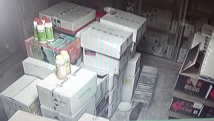 İş yerine giren sansar yakalanarak doğaya bırakıldı