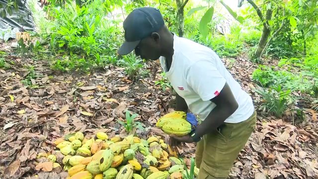 COP15 : déforestation, le butane comme solution