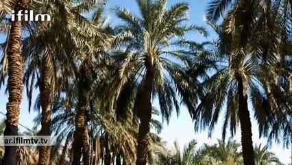 مسلسل "التربة الساخنة" الحلقة 1