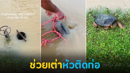 ชื่นชม ! พ่อลูกช่วยเต่าติดท่อระบายน้ำ หัวติดเอาออกไม่ได้หวิดไม่รอด