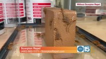 Scorpion Repel wants to keep scorpions out of your home