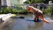 Un homme déguisé en T-Rex vient embêter un alligator