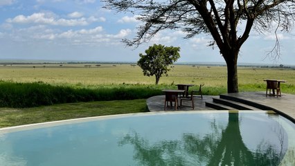 This Luxury Safari Camp Has Tents With All-Glass Bathrooms, a Gin Bar, and Resident Monkey