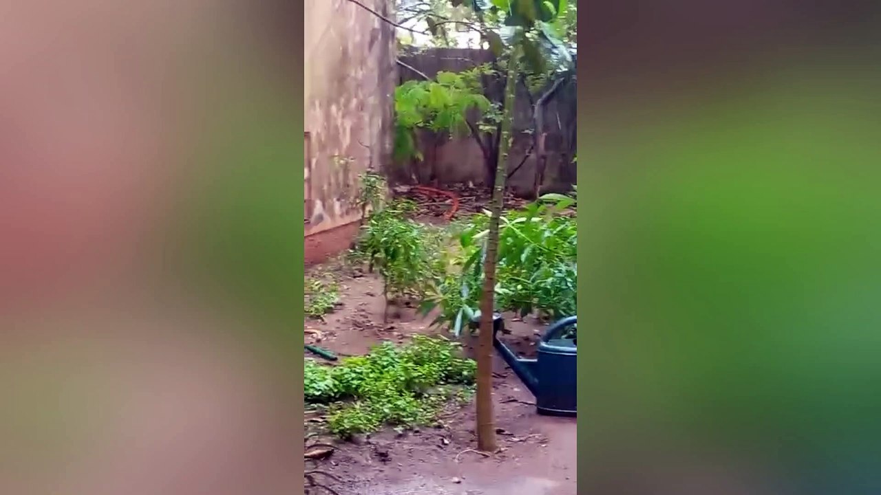 Première  pluie à Ziguinchor