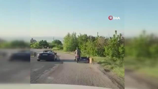Köpeği motosikletin arkasına bağlayıp böyle sürükledi