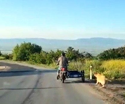 Köpeği motosikletin arkasına bağlayıp sürükledi
