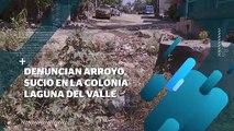 Denuncian a gente “cochina” por arrojar basura en Laguna del Valle | CPS Noticias Puerto Vallarta