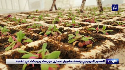 السفير النرويجي يتفقد مشروع صحارى فورست بروجكت في العقبة