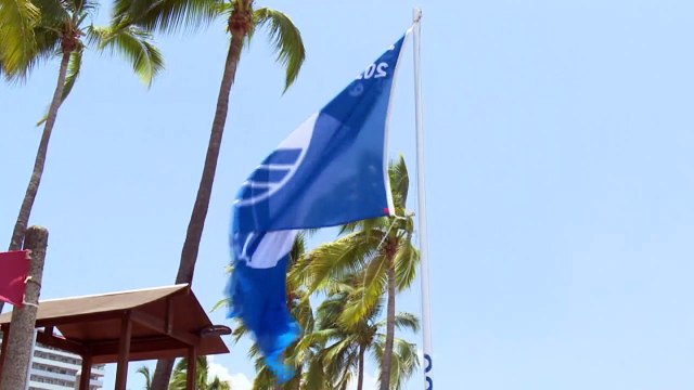 Vallarta bajó a solo 2 banderas de playas certificadas | CPS Noticias Puerto Vallarta