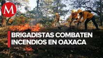 Alertan de cinco incendios forestales en Oaxaca