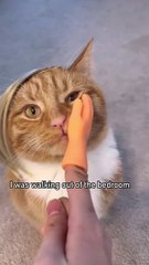 Viral Amber Heard and Johnny Depp Video Sparks Debate